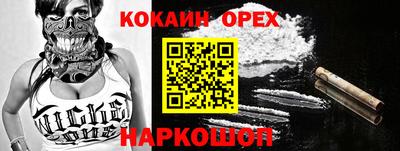 дмт Бийск
