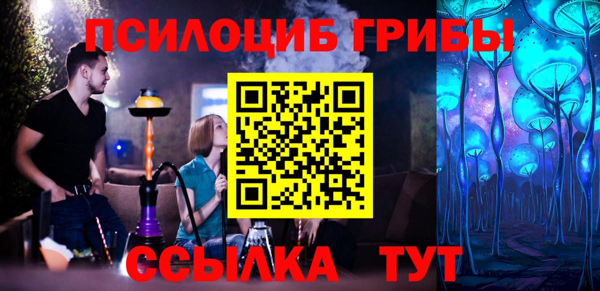 Галлюциногенные грибы Cubensis  Вход с VPN  Выкса  Галлюциногенные грибы прущие грибы 